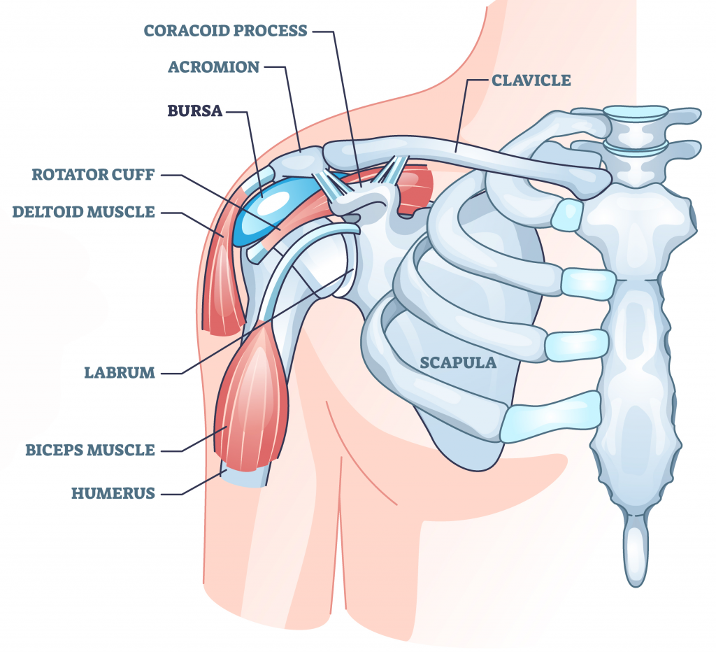 Rotator Cuff Tear Treatment and Rehab